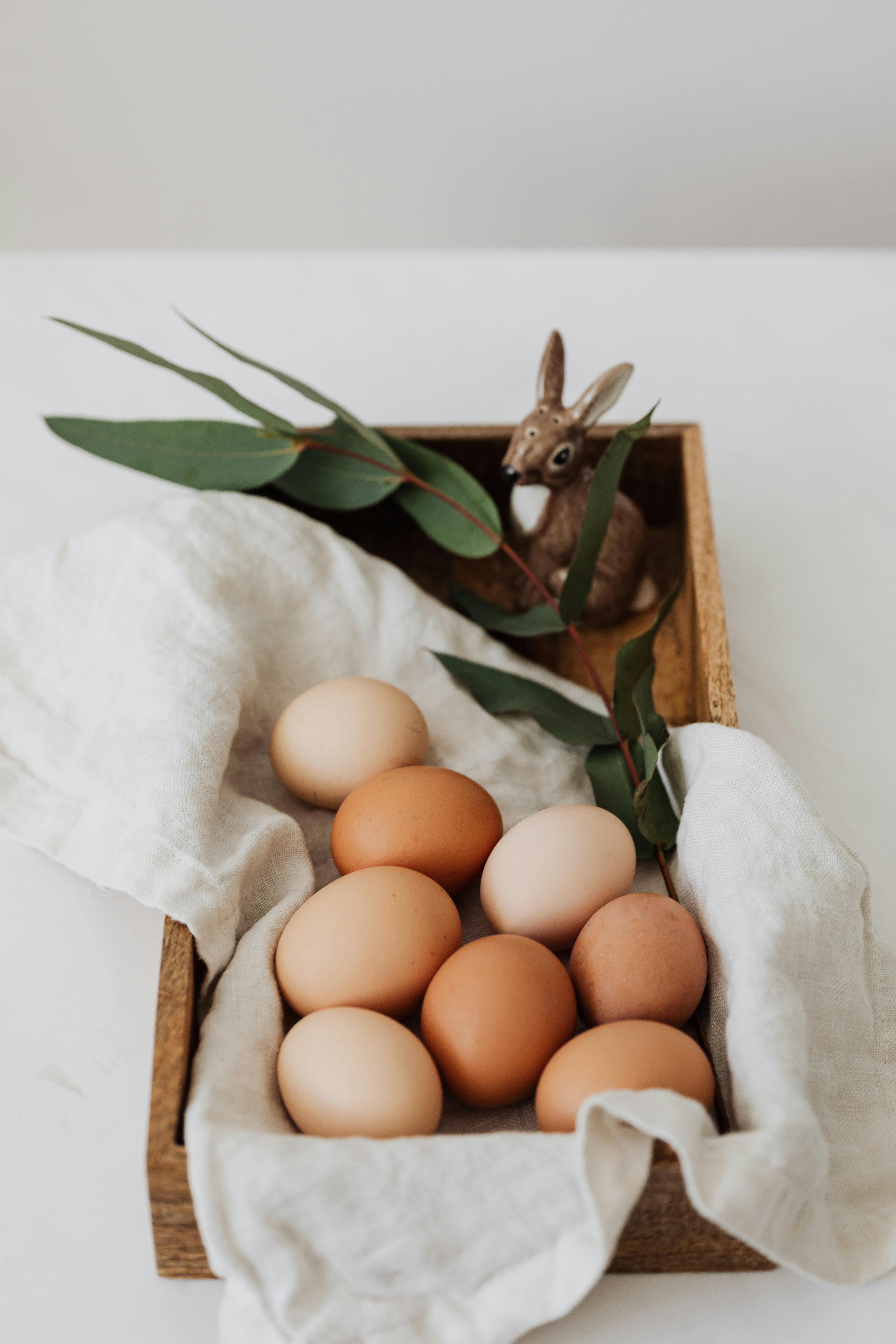 Gavran Eggs